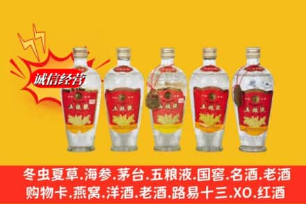 南平市延平回收老五粮液