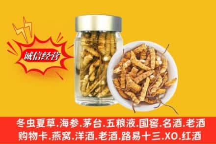 南平市延平回收散虫草
