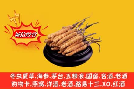 南平市延平求购回收虫草多少钱每克